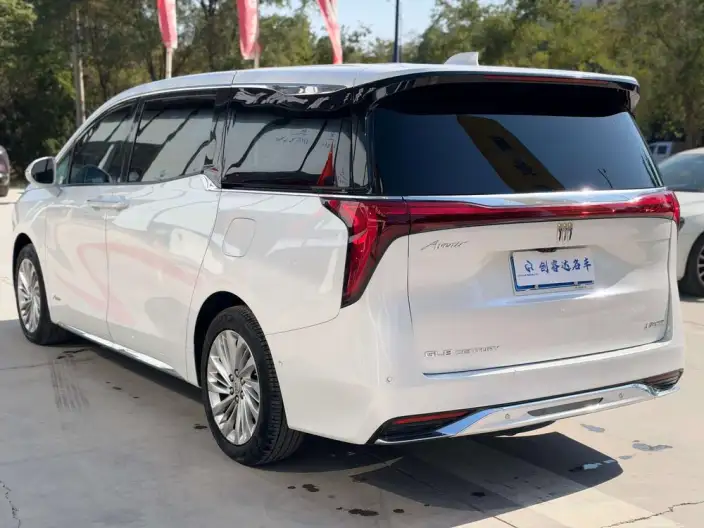 Century 2023 Model 2.0T VI seat Yunshi Edition – фото 4