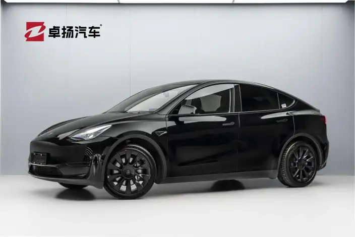 Model Y 2022 Model Facelift Rear-wheel drive version – фото 1
