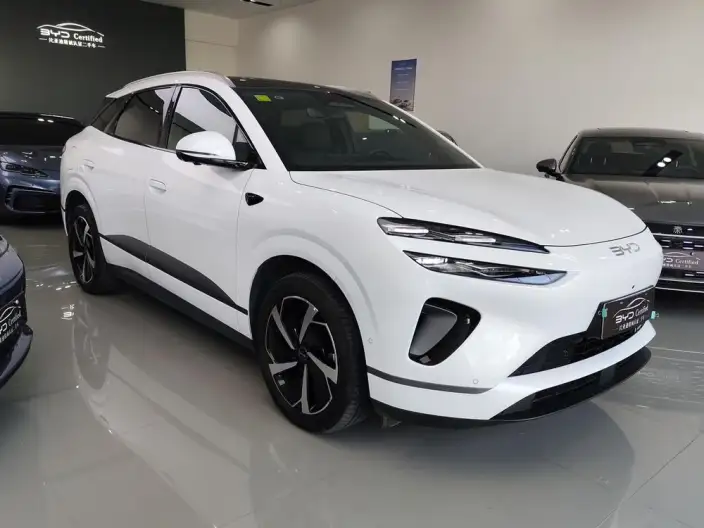 Sea Lion 06DM 2025 Model DM-i 205KM Pilot Plus Edition – фото 3