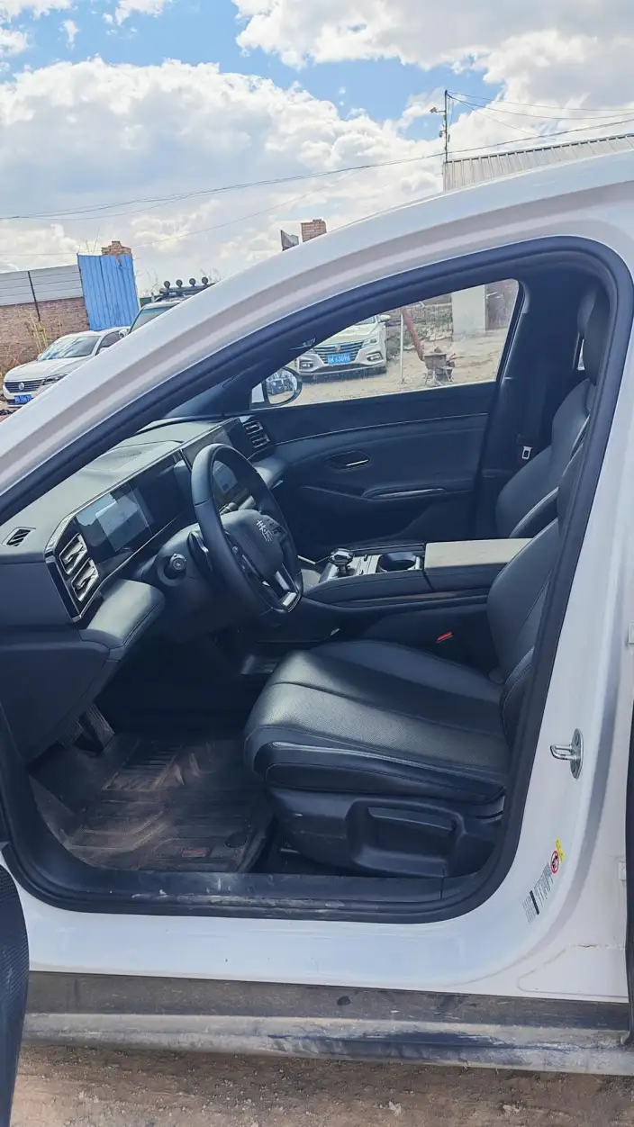 QinL DM 2025 Model Smart Driving Edition DM-i 80KM Leading Model – фото 7