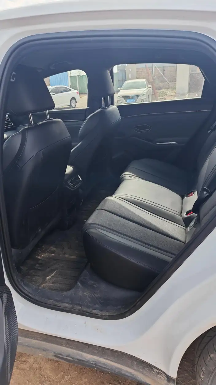 QinL DM 2025 Model Smart Driving Edition DM-i 80KM Leading Model – фото 8