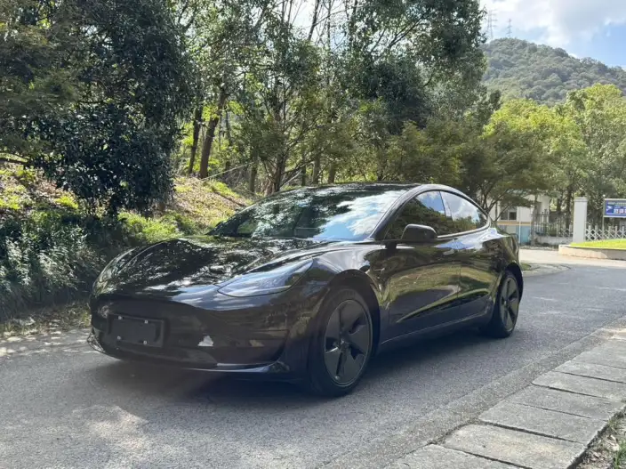 Model 3 2022 Model Rear-wheel drive version – фото 1