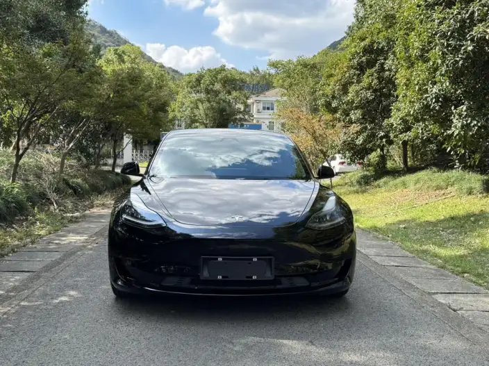Model 3 2022 Model Rear-wheel drive version – фото 2
