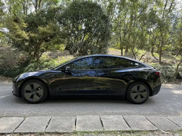 Model 3 2022 Model Rear-wheel drive version – фото 3