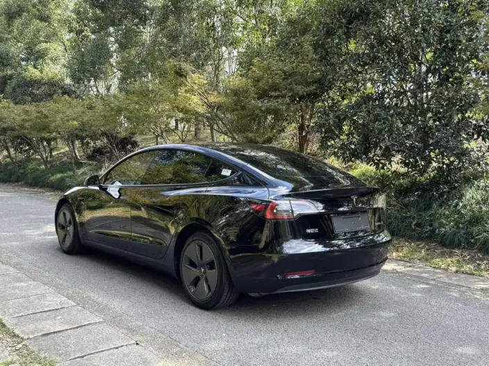 Model 3 2022 Model Rear-wheel drive version – фото 4