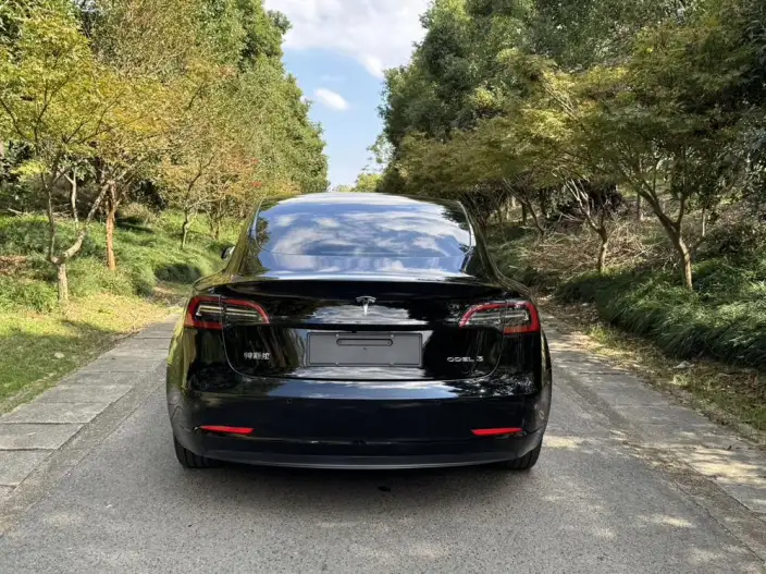 Model 3 2022 Model Rear-wheel drive version – фото 5