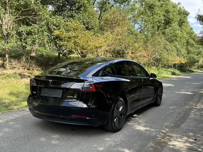 Model 3 2022 Model Rear-wheel drive version – фото 6