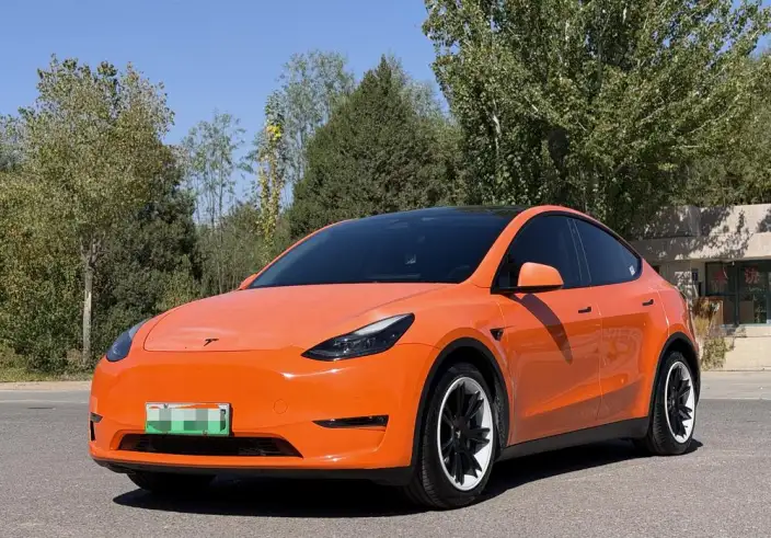 Model Y 2021 Model Standard Battery Life Rear-wheel drive version – фото 1