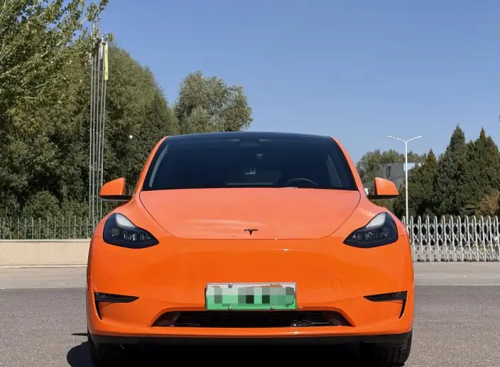 Model Y 2021 Model Standard Battery Life Rear-wheel drive version – фото 2