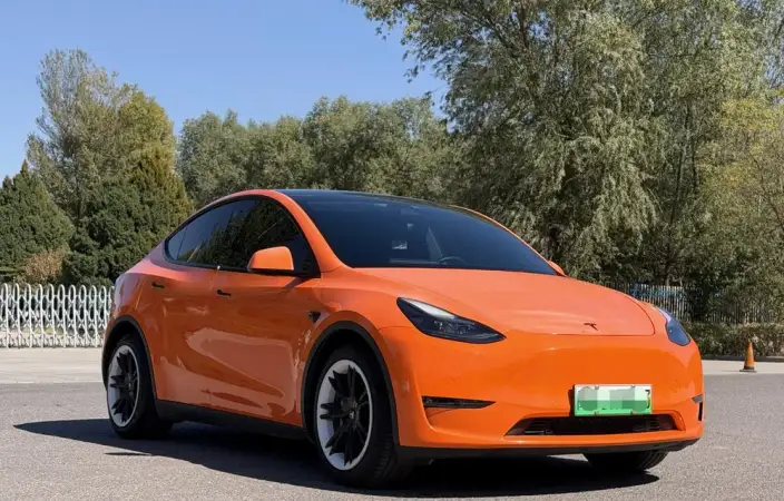 Model Y 2021 Model Standard Battery Life Rear-wheel drive version – фото 3