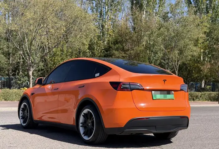 Model Y 2021 Model Standard Battery Life Rear-wheel drive version – фото 4