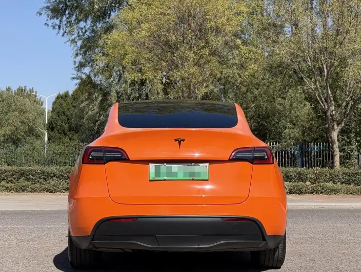 Model Y 2021 Model Standard Battery Life Rear-wheel drive version – фото 5