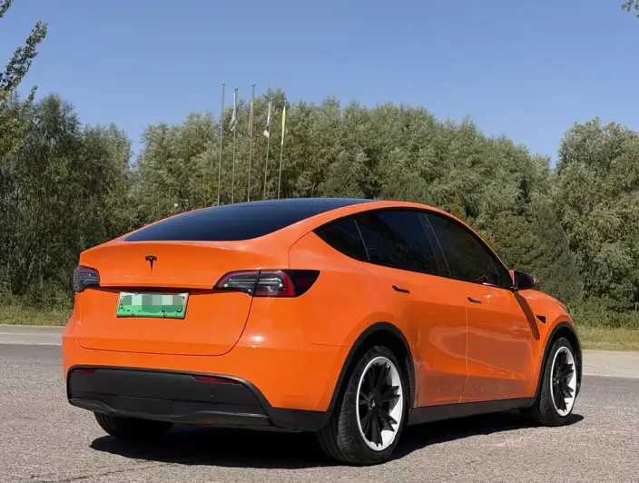 Model Y 2021 Model Standard Battery Life Rear-wheel drive version – фото 6