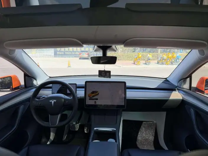 Model Y 2021 Model Standard Battery Life Rear-wheel drive version – фото 10