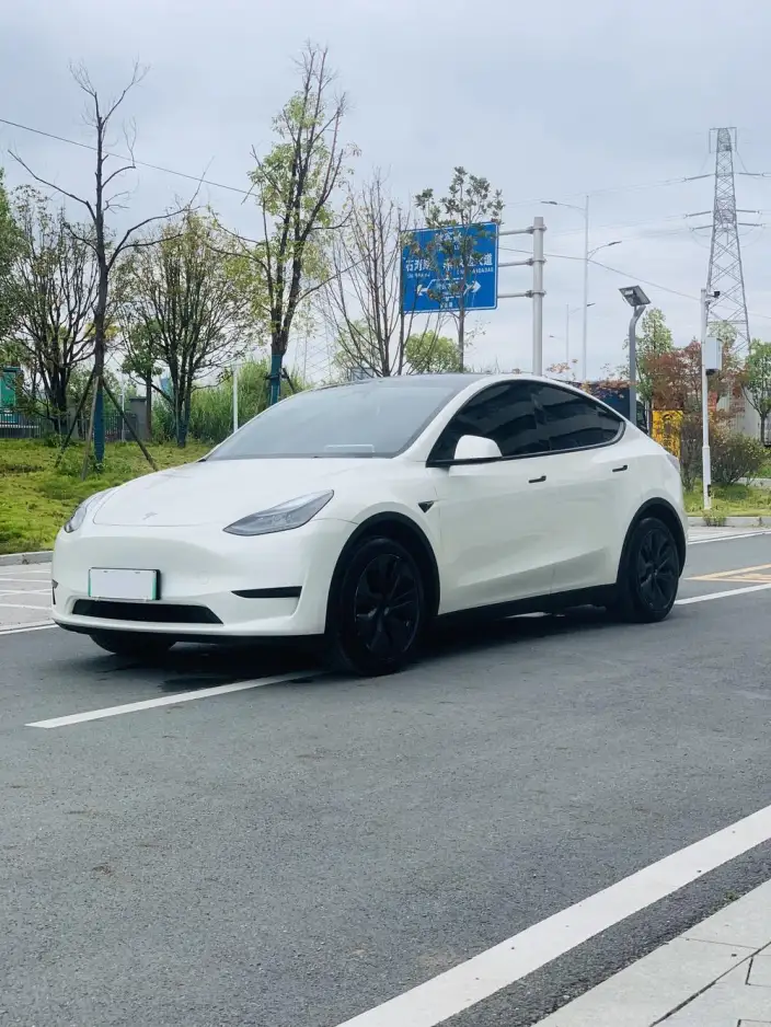 Model Y 2024 Model Rear-wheel drive version – фото 1