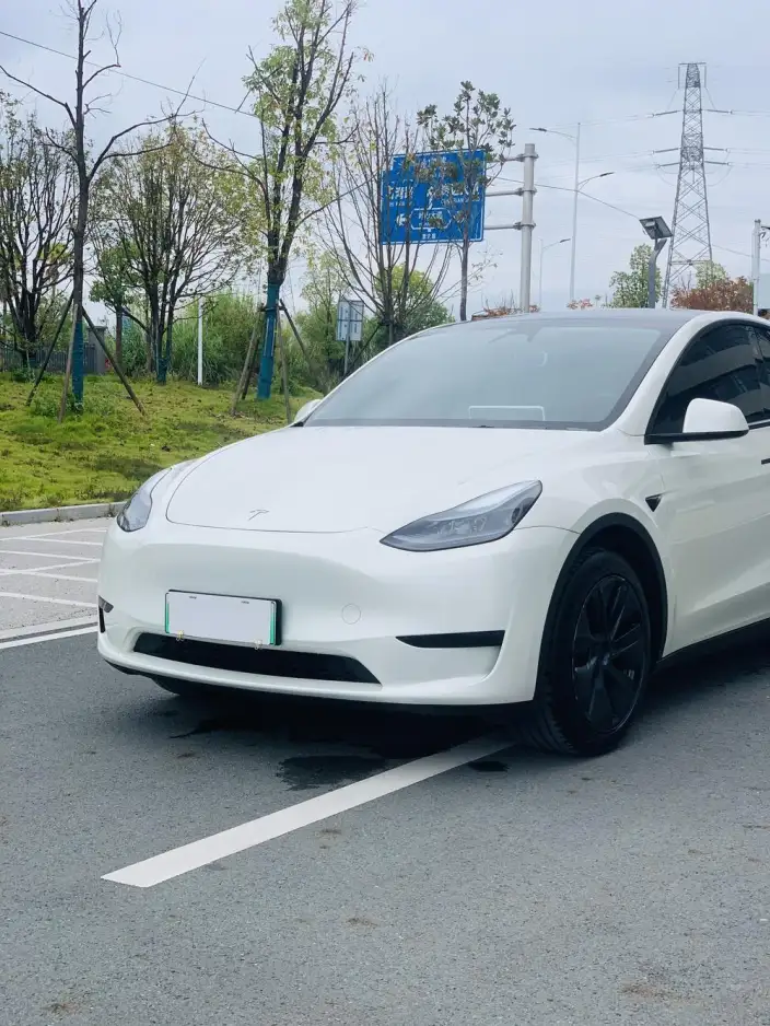 Model Y 2024 Model Rear-wheel drive version – фото 10