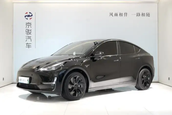 Model Y 2022 Model Rear-wheel drive version – фото 1