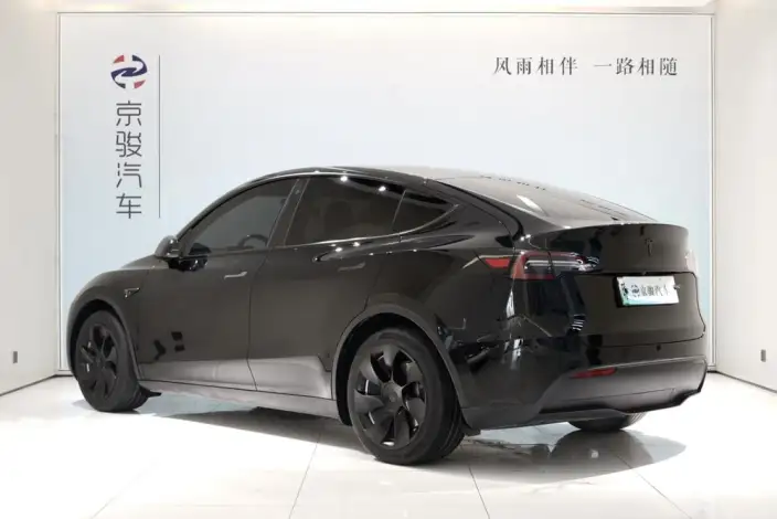 Model Y 2022 Model Rear-wheel drive version – фото 3