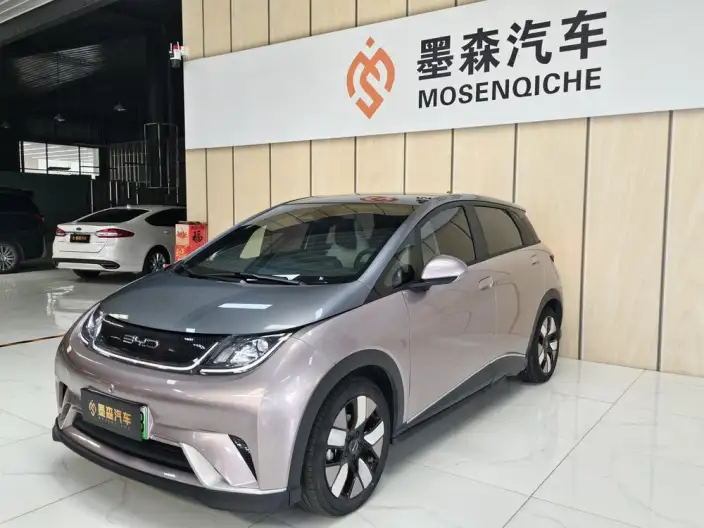 BYD Dolphin 2021 Model Knight Edition – фото 1