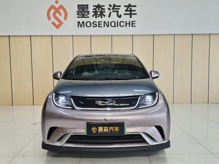 BYD Dolphin 2021 Model Knight Edition – фото 2