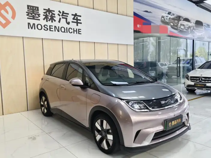 BYD Dolphin 2021 Model Knight Edition – фото 3