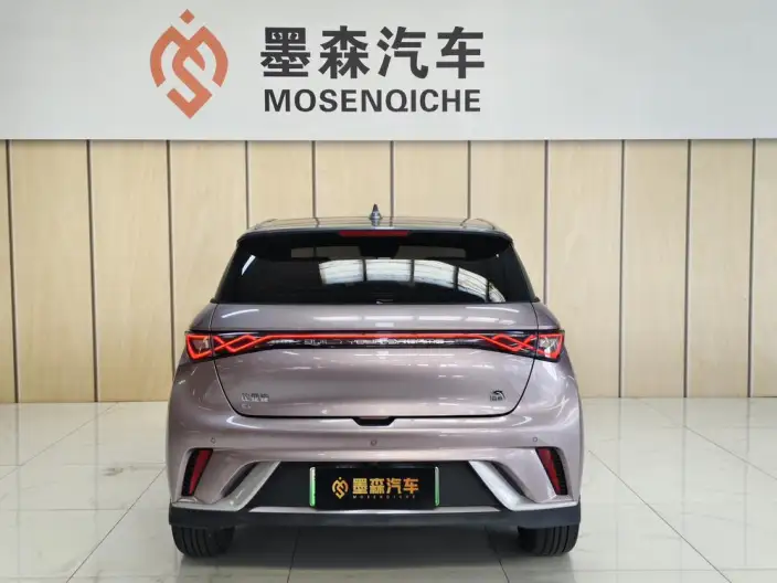 BYD Dolphin 2021 Model Knight Edition – фото 4