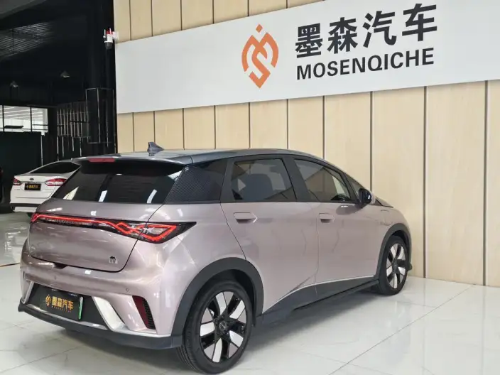 BYD Dolphin 2021 Model Knight Edition – фото 5