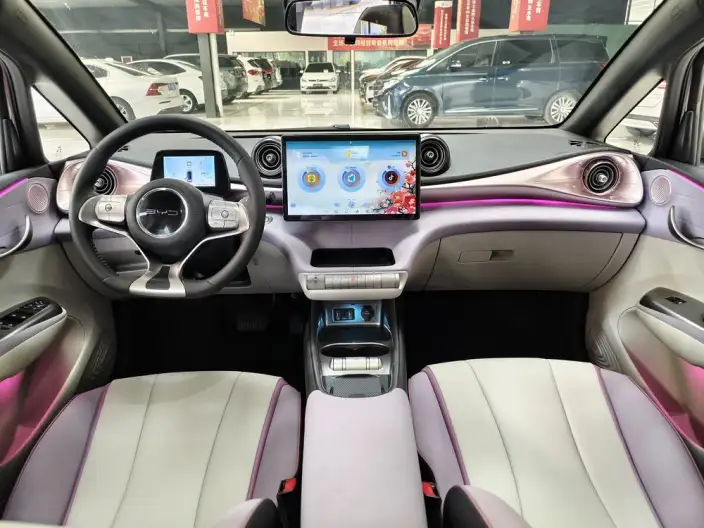 BYD Dolphin 2021 Model Knight Edition – фото 6