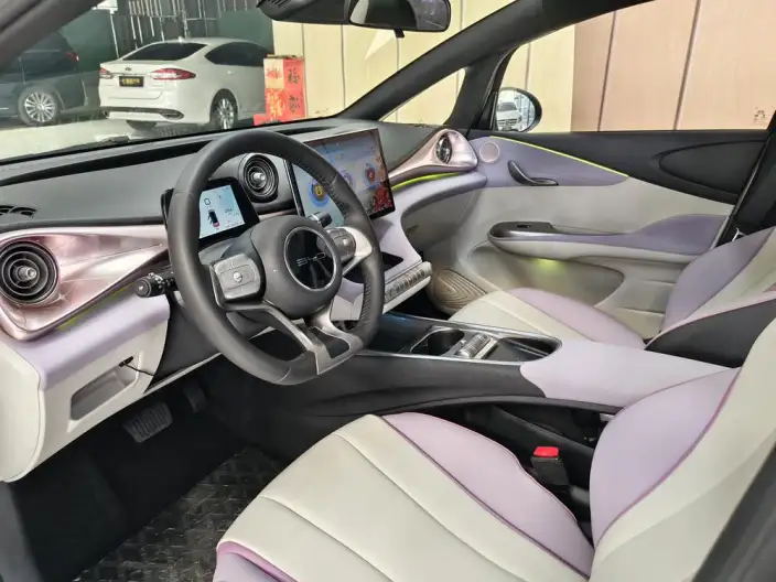 BYD Dolphin 2021 Model Knight Edition – фото 7
