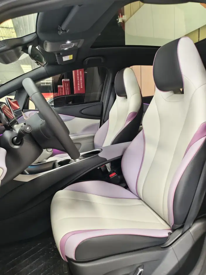BYD Dolphin 2021 Model Knight Edition – фото 8