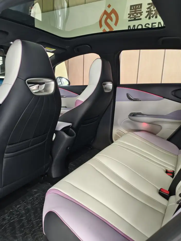 BYD Dolphin 2021 Model Knight Edition – фото 9