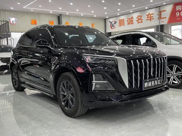 Hongqi HS5 2023 Model 2.0T Flag Xiang Pro Edition – фото 2
