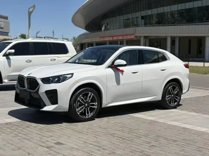 BMW X2 Imported 2024 Model sDrive25i M Sports Set – фото 1