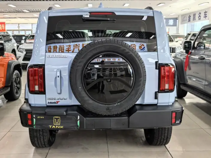 Tank 300 Hi4-T 2024 Model 2.0T Standard Model – фото 5
