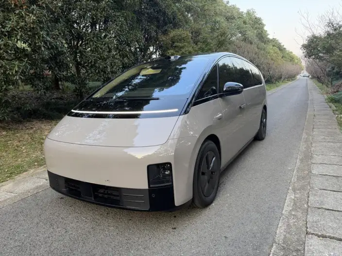 Li Auto MEGA 2025 Model Home Family Special Edition – фото 1