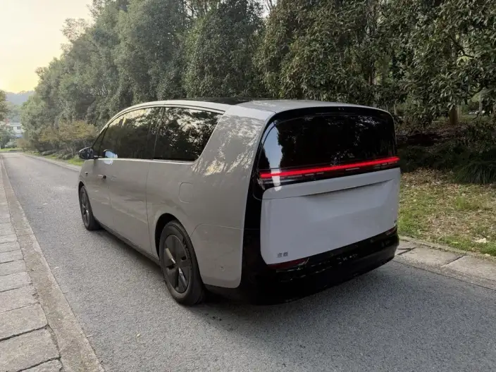 Li Auto MEGA 2025 Model Home Family Special Edition – фото 3