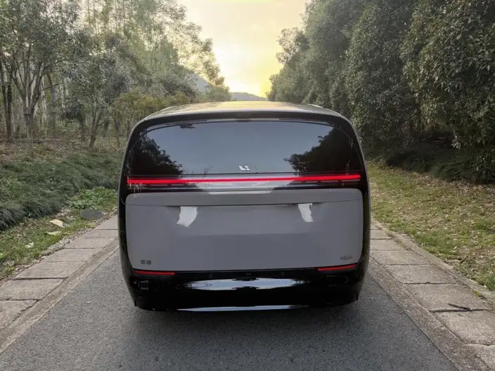 Li Auto MEGA 2025 Model Home Family Special Edition – фото 4