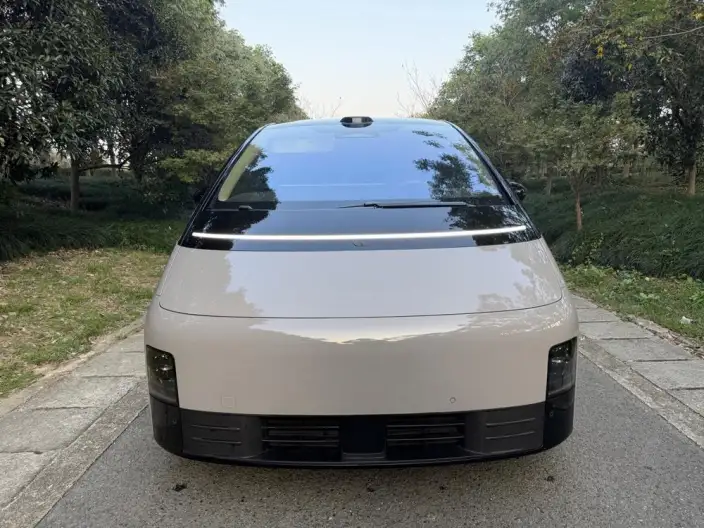 Li Auto MEGA 2025 Model Home Family Special Edition – фото 7