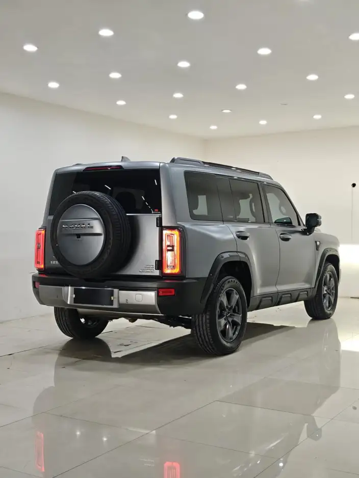 Haval Raptor Fuel Edition 2025 Model 2.0T 4WD Pro – фото 6