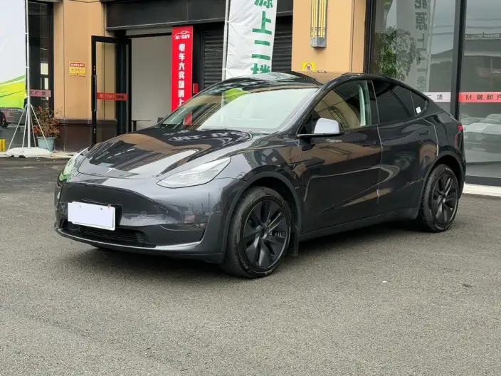Model Y 2024 Model Long Battery Life Pro All-wheel drive version – фото 1