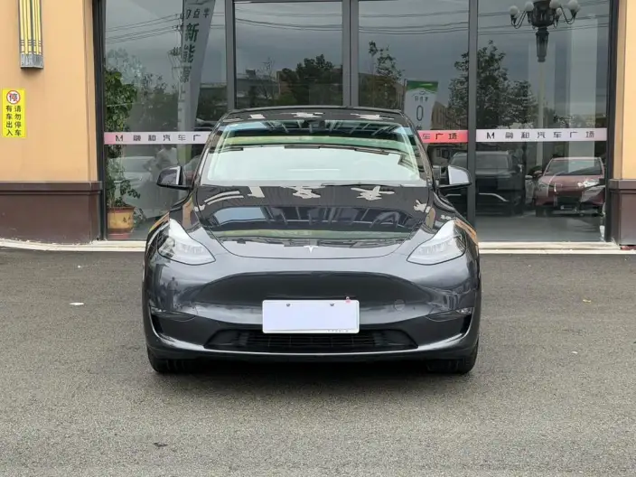 Model Y 2024 Model Long Battery Life Pro All-wheel drive version – фото 2