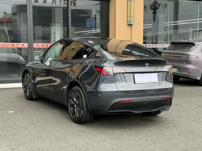 Model Y 2024 Model Long Battery Life Pro All-wheel drive version – фото 4