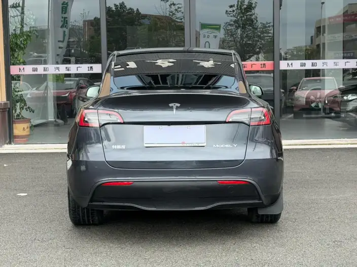 Model Y 2024 Model Long Battery Life Pro All-wheel drive version – фото 5