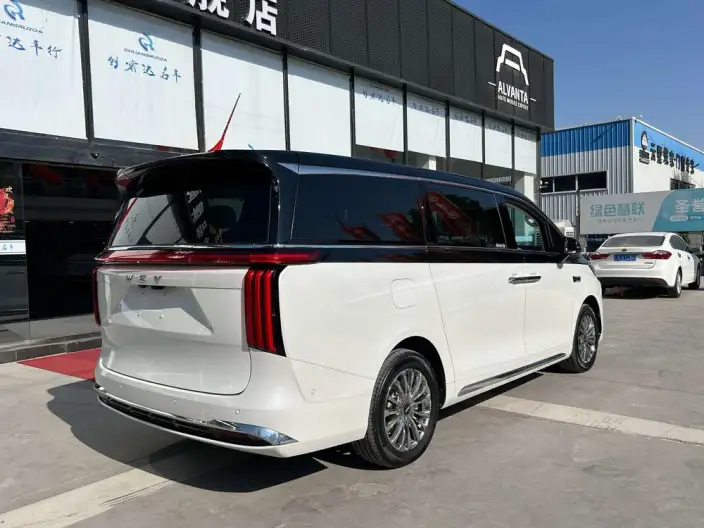 Wey Gaoshan P HEV 2025 Model 4WD Wey Gaoshan 8 – фото 6