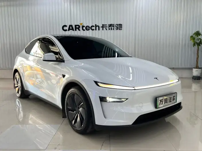 Model Y 2025 Model Rear-wheel drive version – фото 3