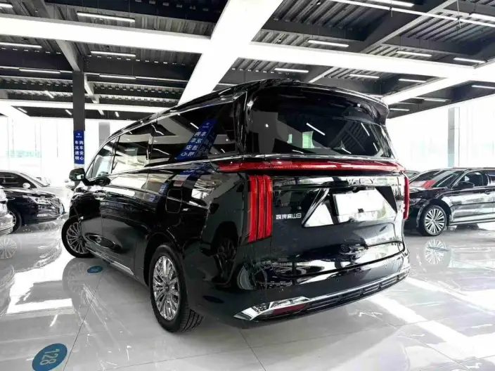 Wey Gaoshan P HEV 2025 Model 4WD Wey Gaoshan 9 – фото 4