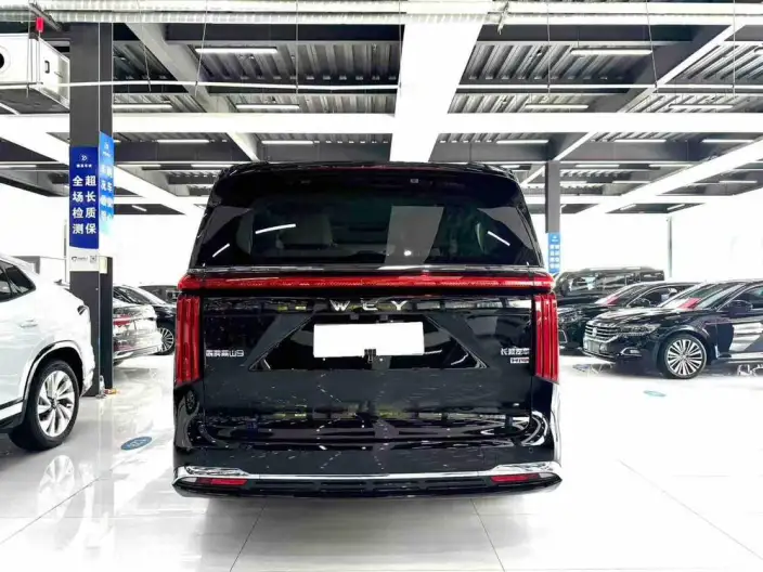 Wey Gaoshan P HEV 2025 Model 4WD Wey Gaoshan 9 – фото 5