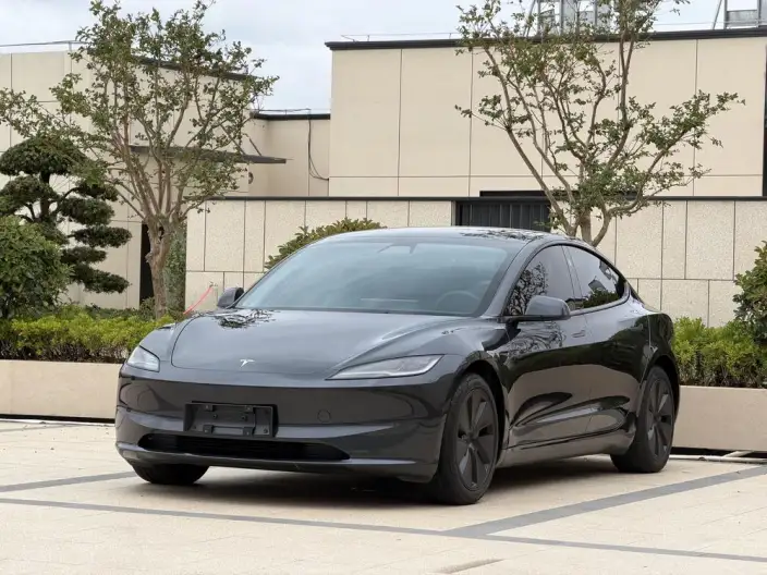 Model 3 2025 Model Rear-wheel drive version – фото 1