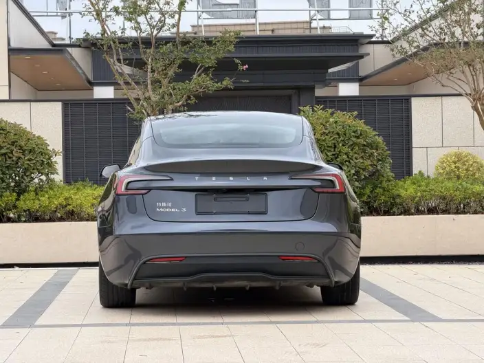Model 3 2025 Model Rear-wheel drive version – фото 5