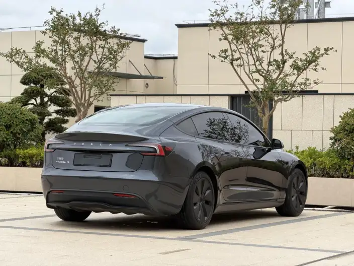 Model 3 2025 Model Rear-wheel drive version – фото 6